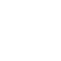 smalcaricon-1