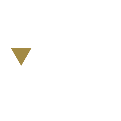 logo-veyron-1